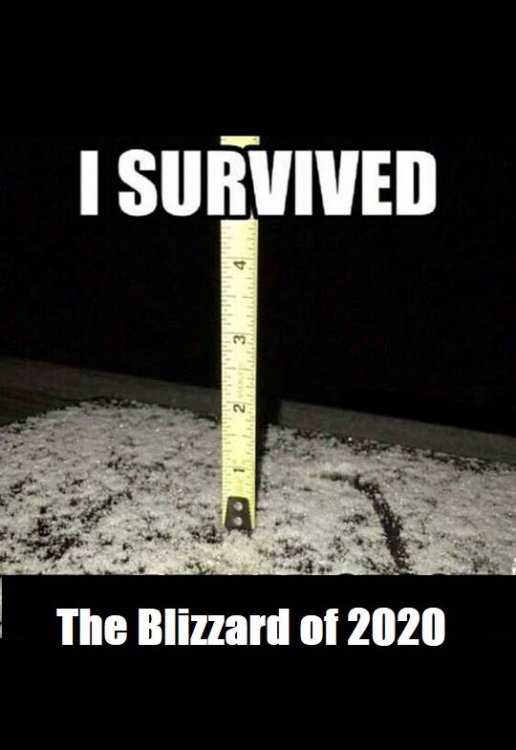 I survived the blizzard.jpg