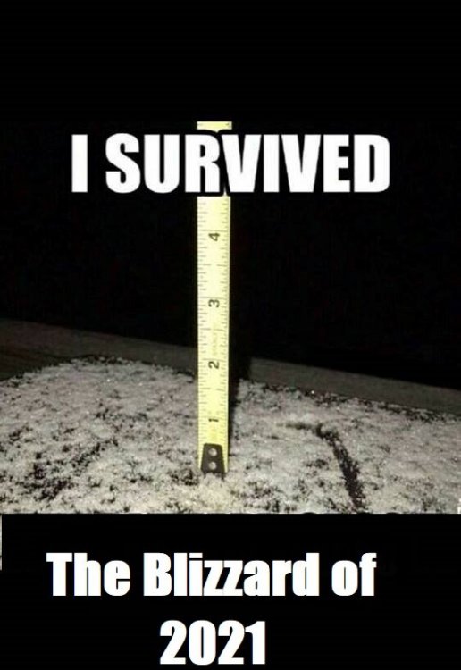 I survived the blizzard.jpg